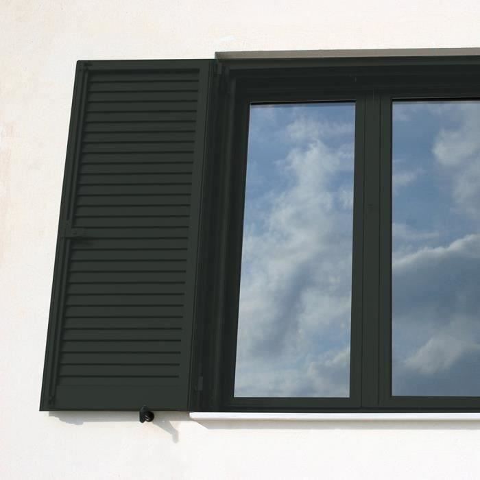 RIPOLIN Satin Wood Paint High Protection 10 years which Protects and Magnifies your Wood - Black