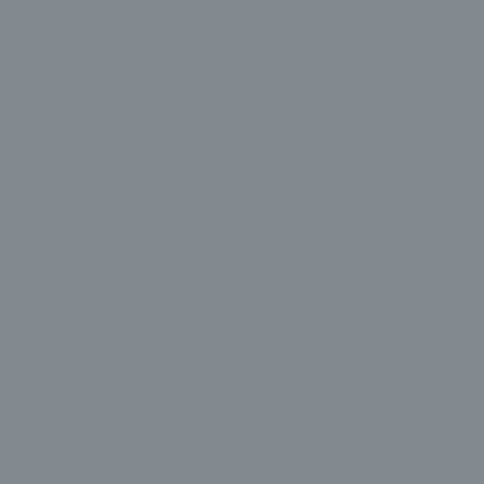 RIPOLIN Interior & Exterior Floor Paint - Loft Gray Ral 7046 Satin, 2,5L