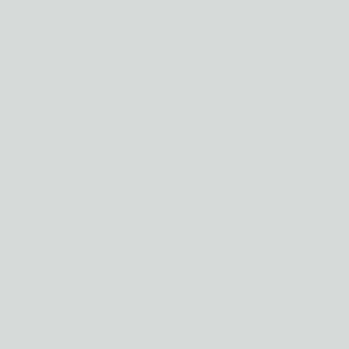 RIPOLIN All Pieces Wall Paint - Satin Mouse Gray, 2.5L