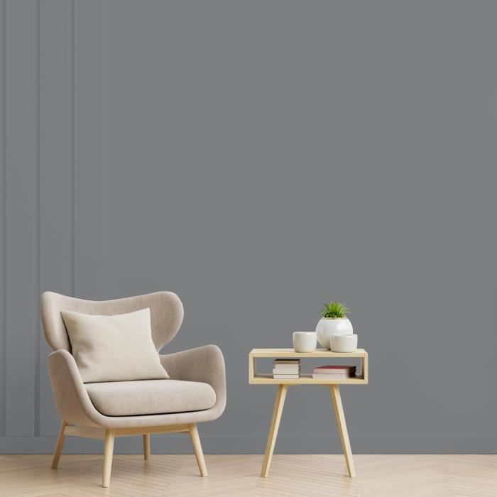 RIPOLIN Ultra Covering Satin Color Paint for Kitchen, Bedroom, Living Room, Hall, Entrance, Hallway - Slate Gray