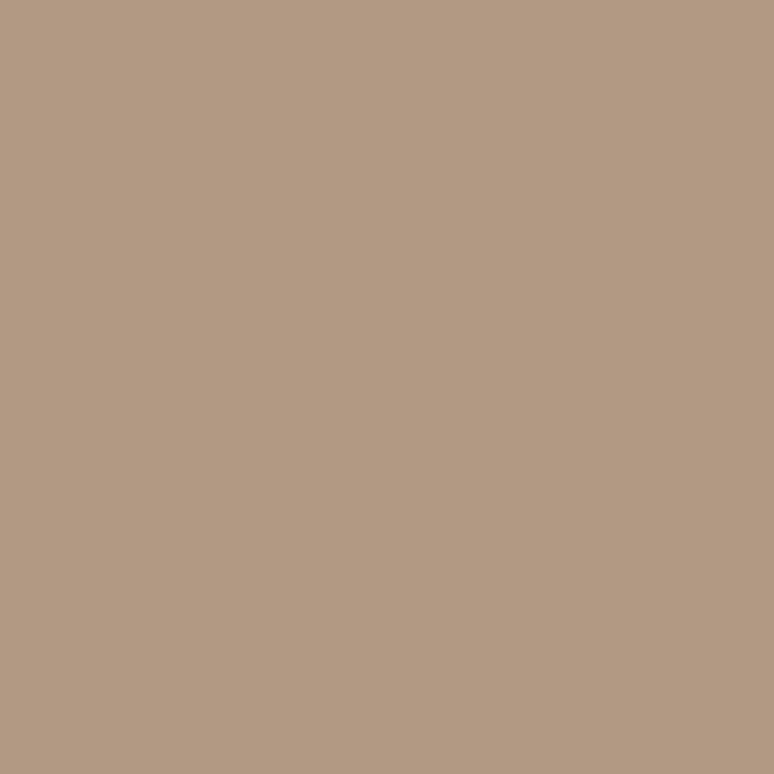 Extreme wood paint - Mocha beige RAL 1019 satin - RIPOLIN - 2.5 L