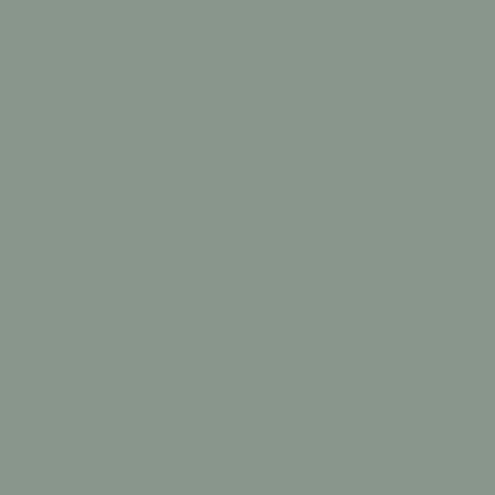 Interior wall decoration paint - Matt noble green - RIPOLIN - 2.5 L