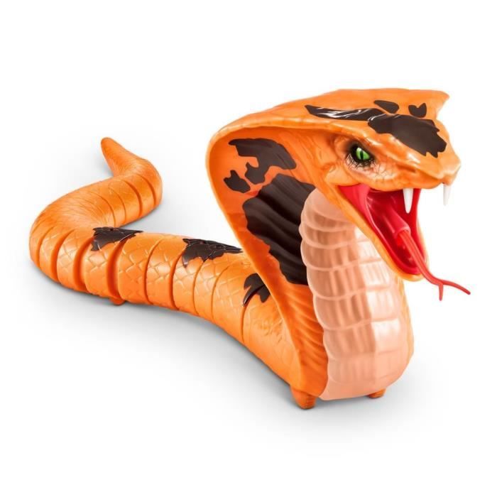 ROB4894680036437