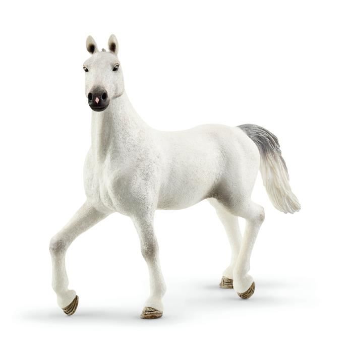 Grand Manege Equestre, Figurine and Accessories Box, Schleich 42639 Horse Club, For Children Aged 5 and Up