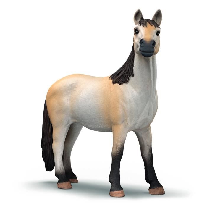 Box set with Mustang mare, SCHLEICH 42724 Farm World, from 4 years old