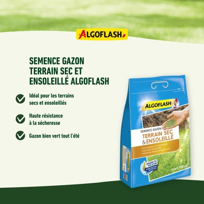 Algoflash - Solid dry terrain 1kg