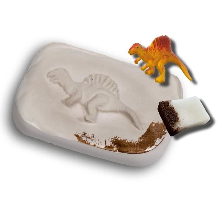 SES CREATIVE - Dinosaur Fossils
