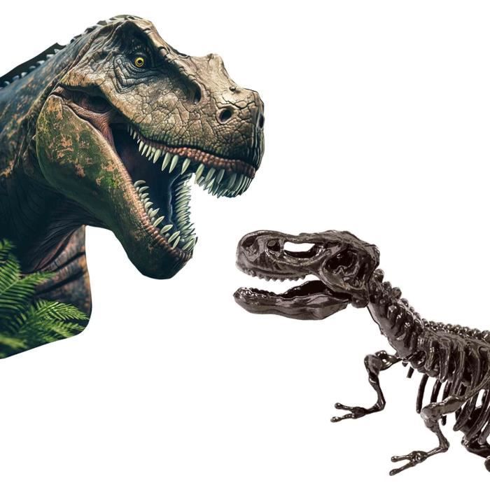2 in 1 Dinosaur and Skeleton Dig - T-rex - SES CREATIVE