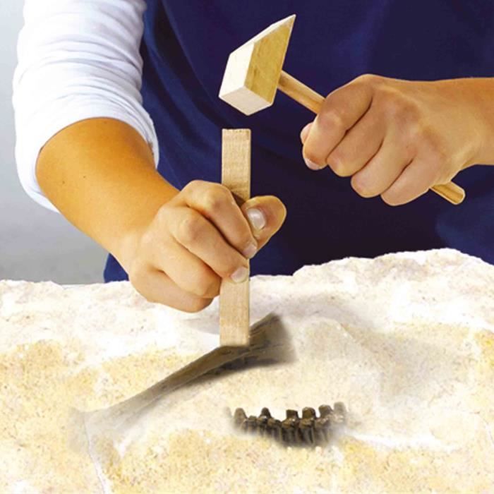 2-in-1 Dinosaur and Skeleton Dig - Stegosaurus - SES CREATIVE