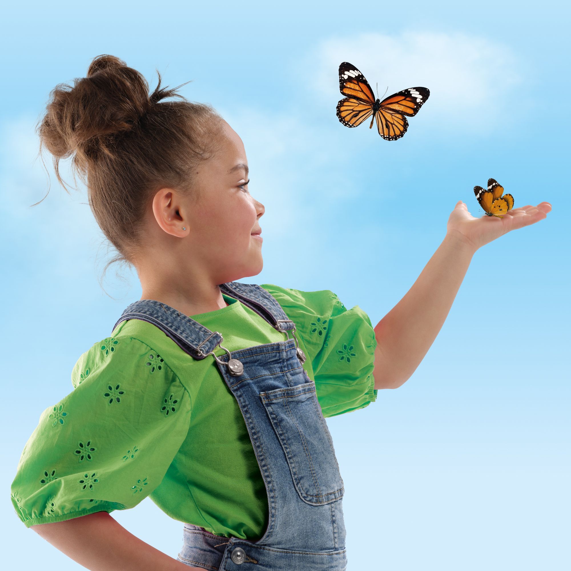 Butterfly Hotel - Educational Toy - SES CREATIVE - Build and decorate a butterfly hotel.