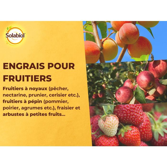 Solabiol Sofruy15 Fruit fertilizer - 1.5 kg
