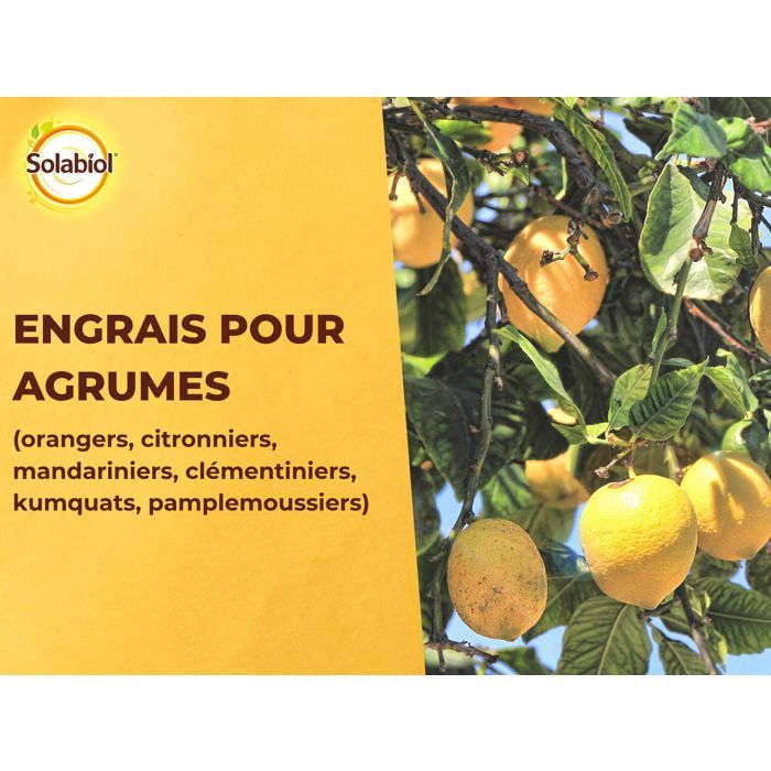 SOLABIOL SOAGY15 Citrus Fertilizer - 1.5 Kg