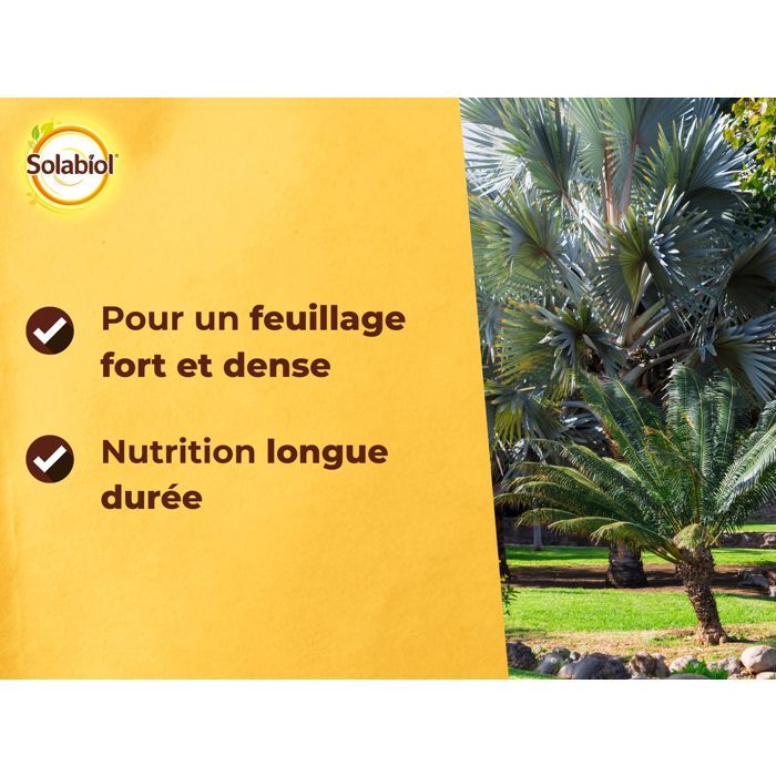 Solabiol Sopalmy15 Palm fertilizers and Mediterranean plants 1.5 kg, usable in organic farming