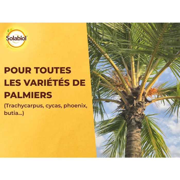 Solabiol Sopalmy15 Palm fertilizers and Mediterranean plants 1.5 kg, usable in organic farming