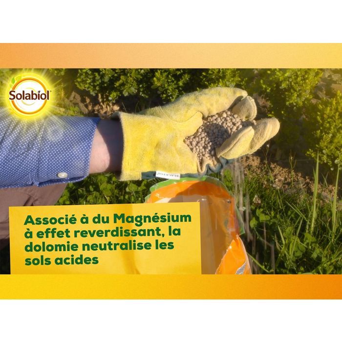 Solabiol Sochaux10 Lime and Magnesium Carbonate 10kg, efficient