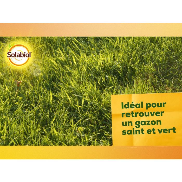 Solabiol Sochaux10 Lime and Magnesium Carbonate 10kg, efficient