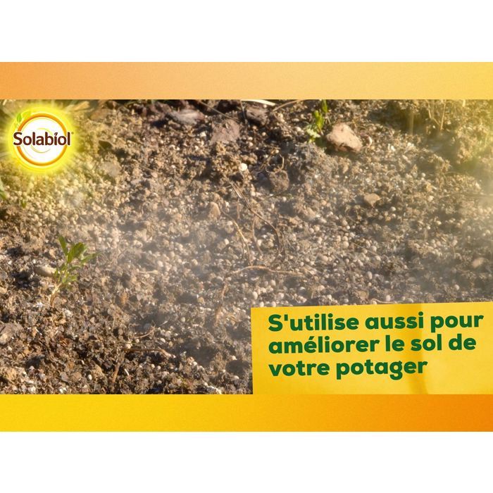 Solabiol Sochaux10 Lime and Magnesium Carbonate 10kg, efficient