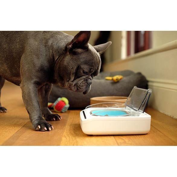 SUREFLAP Automatic Food Dispenser - SureFeed hermetic bowl - for cats and small dogs