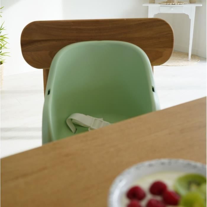 Thermobaby tudi chair booster - 6 to 36 months - 3 -point safety harness - Céladon green
