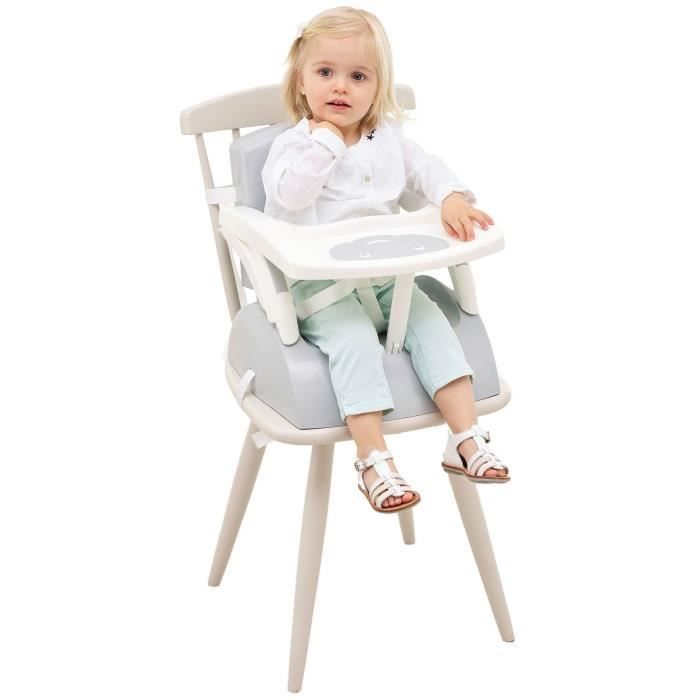 THERMOBABY BOOSTER of Chair 2 in 1 Charming Gray