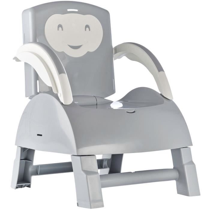 THERMOBABY BOOSTER of Chair 2 in 1 Charming Gray