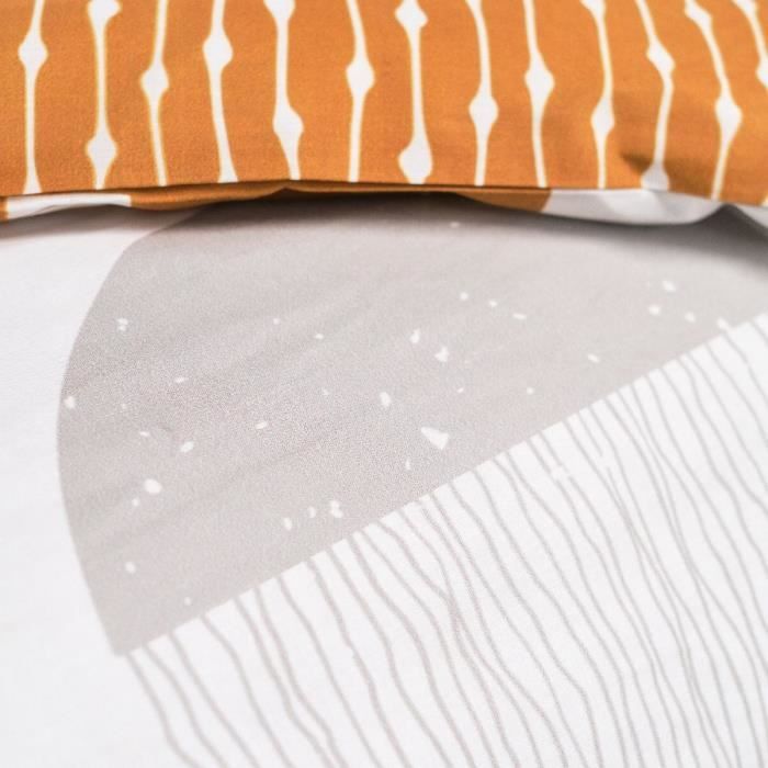 Bedding set - TODAY - Sunshine - 2 people - 260x240cm - Cotton - Other patterns