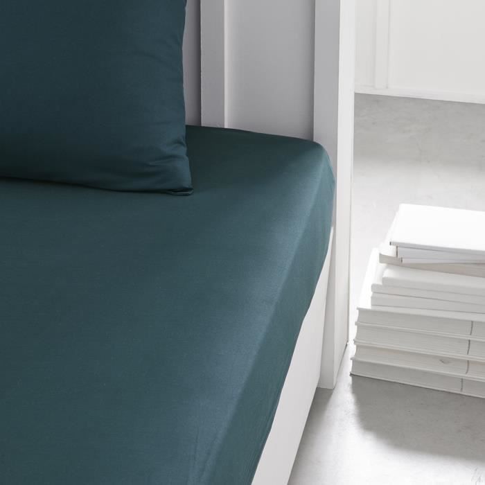 TODAY ESSENTIAL TODAY CHARG - 140 x 190 cm - 2 people - 100% UNE COTTON - PAON