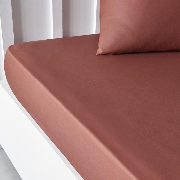 TODAY ESSENTIAL TODAY CHARD - 140 x 200+30 cm - 2 people - 100% UNA COTTON - TERRACOTTA