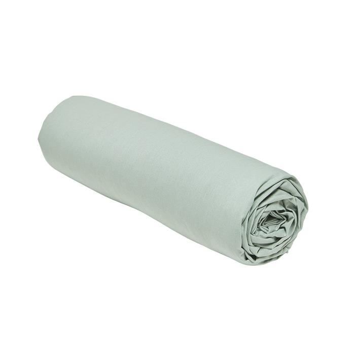 TODAY ESSENTIAL TODAY CHARG - 140 x 200+30 cm - 2 people - 100% UNI cotton - Ceudon