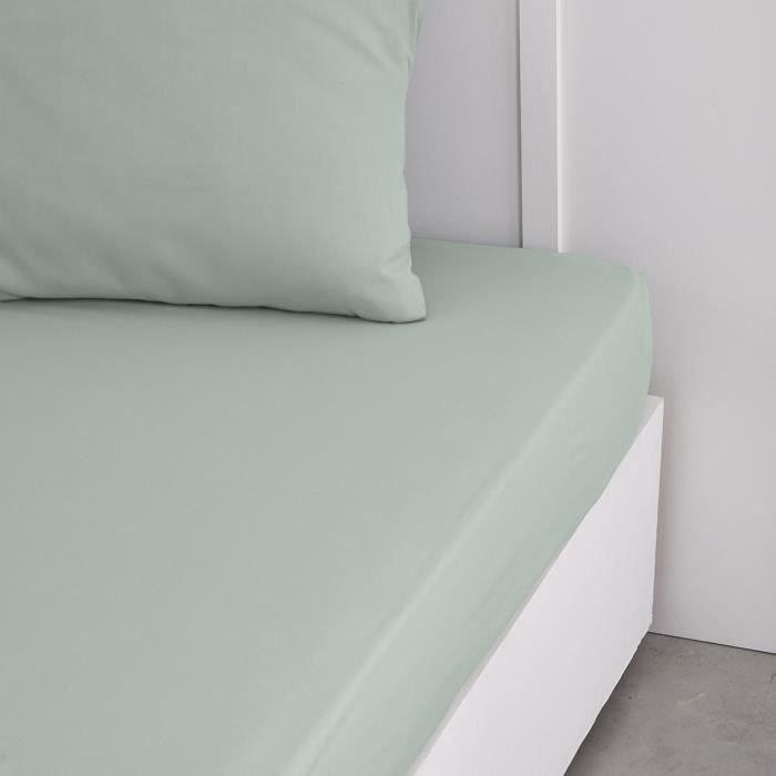 TODAY ESSENTIAL TODAY CHARG - 160 x 200+30 cm - 2 people - 100% UNA COTTON - Ceudon