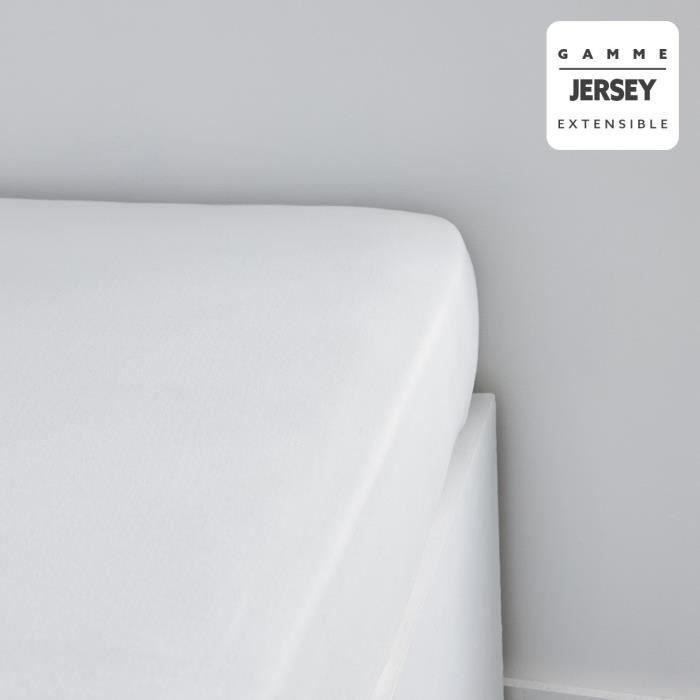 TODAY ESSENTIAL TODAY CHARG - 140 x 190+25 cm - 1 person - 100% Jersey cotton - chalk
