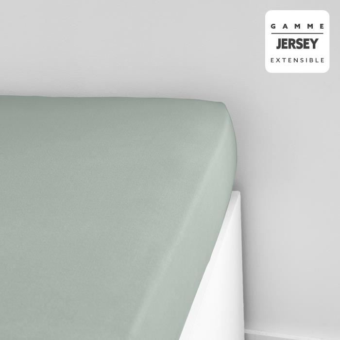 TODAY ESSENTIAL TODAY CHARG - 140 x 190+25 cm - 1 person - 100% Jersey cotton - Ceudon