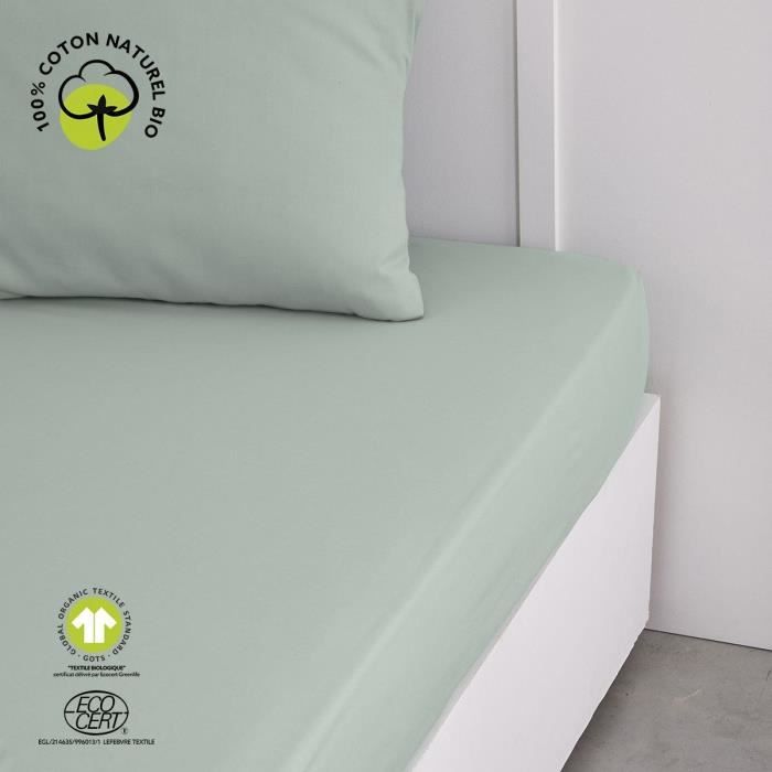 Fitted sheet - TODAY - 160 x 200 cm + 30 cm - Cotton - Organic Celadon