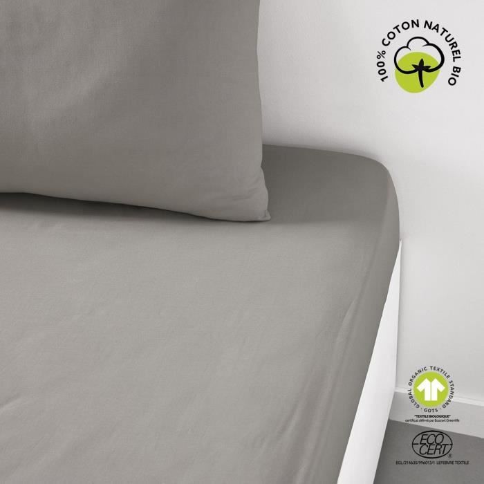 Fitted sheet - TODAY - 180 x 200 cm + 30 cm - Cotton - Organic Dune