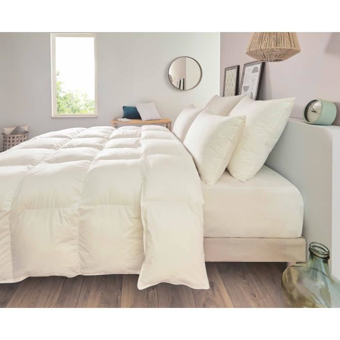 Pillow - TOISON D'OR - POLLUX - Firm comfort - 50 x 70 cm - White