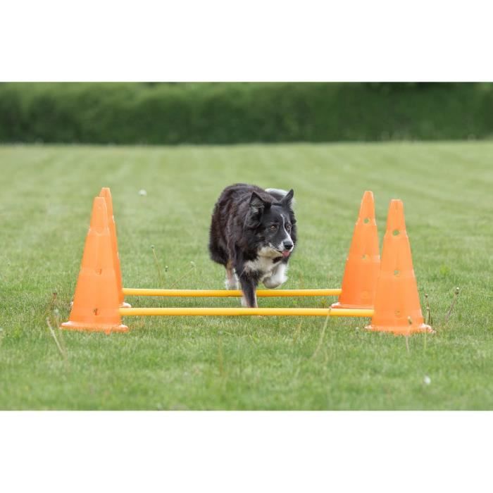 TRIXIE Set of 3 Obstacle activities - Ø 23 × 30 cm - 78 cm - Orange and yellow - For dog