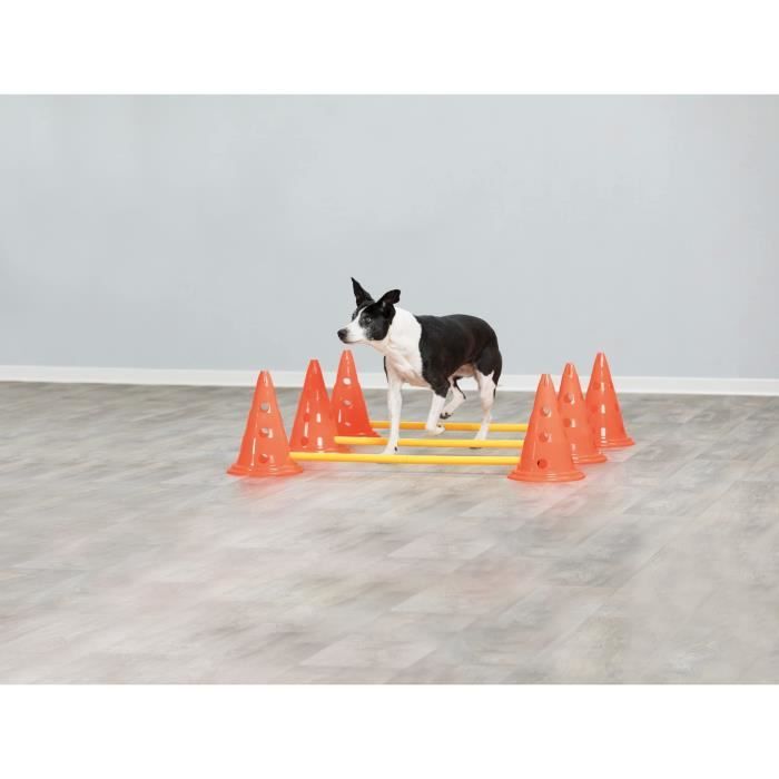 TRIXIE Set of 3 Obstacle activities - Ø 23 × 30 cm - 78 cm - Orange and yellow - For dog