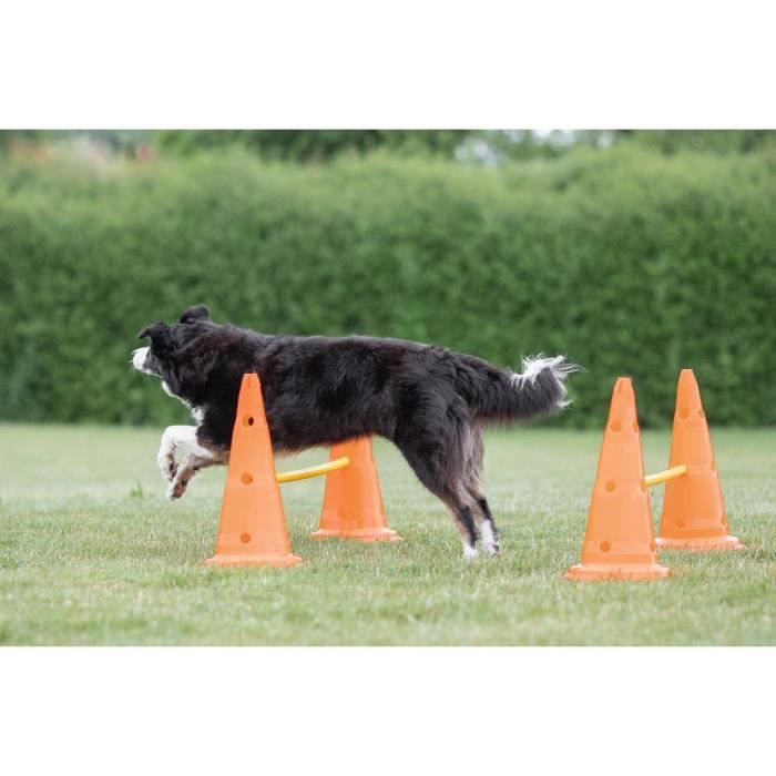 TRIXIE Set of 3 Obstacle activities - Ø 23 × 30 cm - 78 cm - Orange and yellow - For dog
