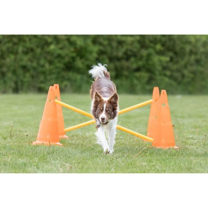 TRIXIE Set of 3 Obstacle activities - Ø 23 × 30 cm - 78 cm - Orange and yellow - For dog