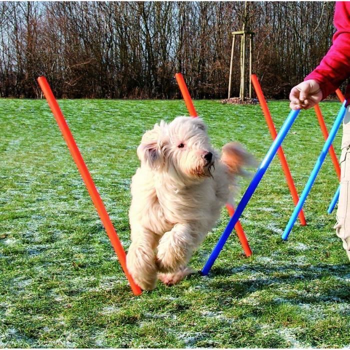 TRIXIE Agility Course Slalom Poles 115 cm 12 pcs Plastic