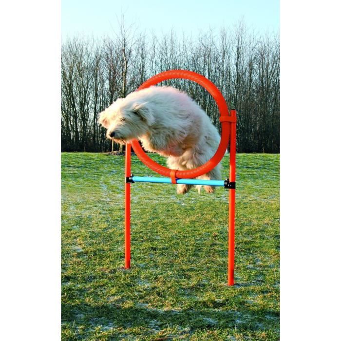 TRIXIE Dog Agility Hoop 115 x 3cm Plastic
