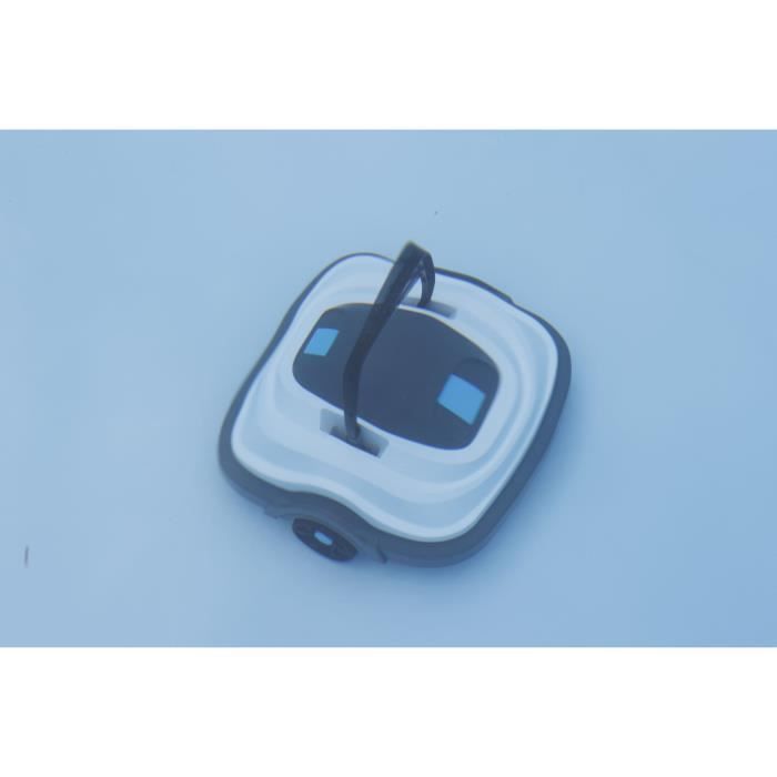 Robotclean UBBINK Accu XS - Battery-powered pool cleaner