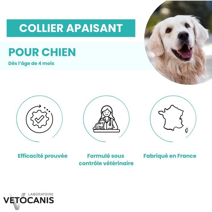 VET3428170007686