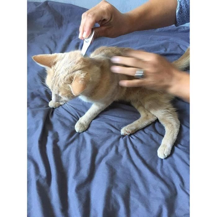VETOCANIS Anti-flea and anti-tick pipettes Duo - 2 pipettes for 5 weeks of protection - For cat