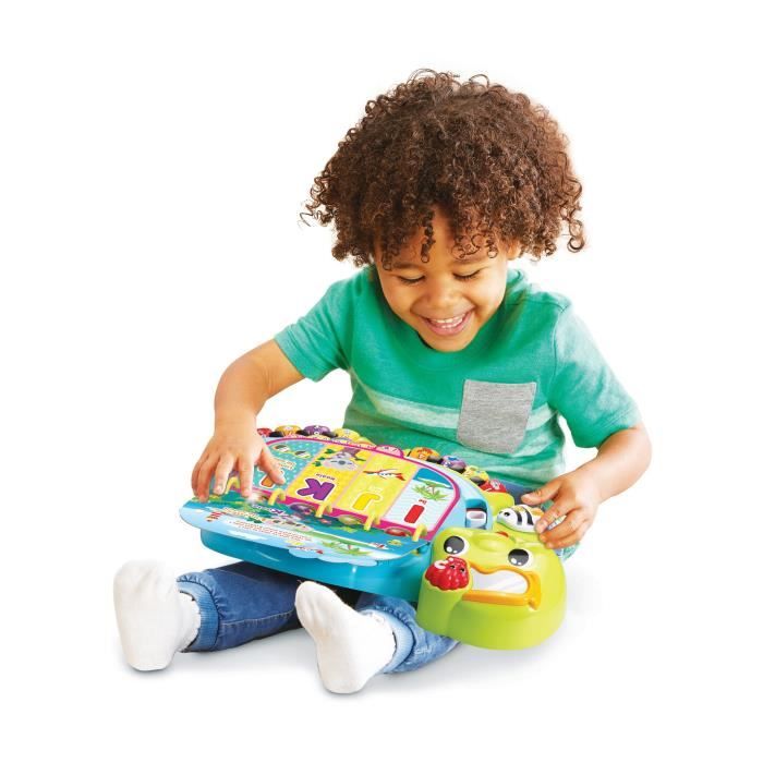 Vtech baby - my great discoveries picture book