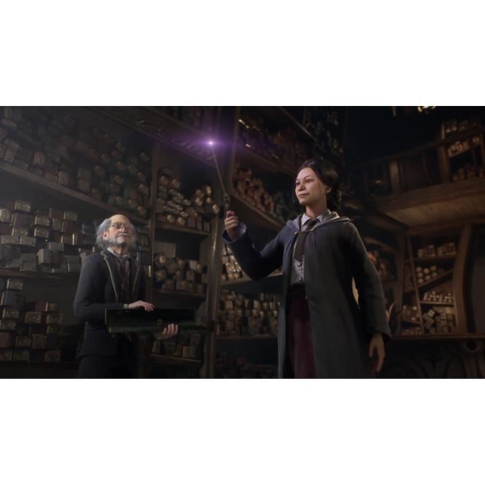 Hogwarts Legacy: The legacy of Hogwarts PS4 game