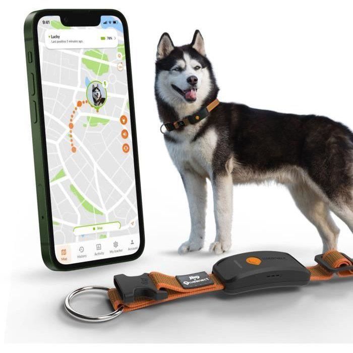 GPS dog collar - WEENECT Dog XT - XL antenna - Waterproof - Julius-K9 collar - Works with subscription - Orange