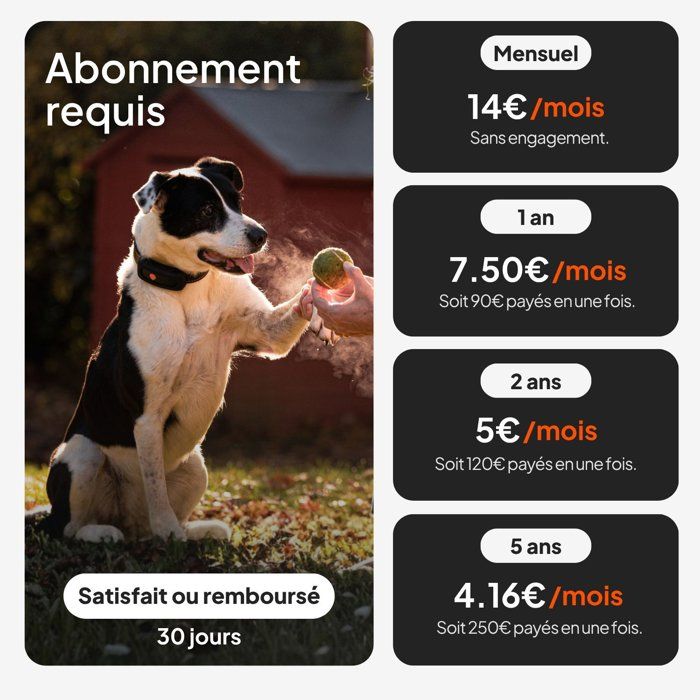 GPS dog collar - WEENECT Dog XT - XL antenna - Waterproof - Julius-K9 collar - Works with subscription - Orange