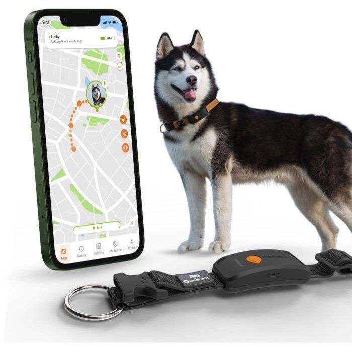 GPS dog collar - WEENECT Dog XT - XL antenna - Waterproof - Julius-K9 collar - Works with subscription - Black