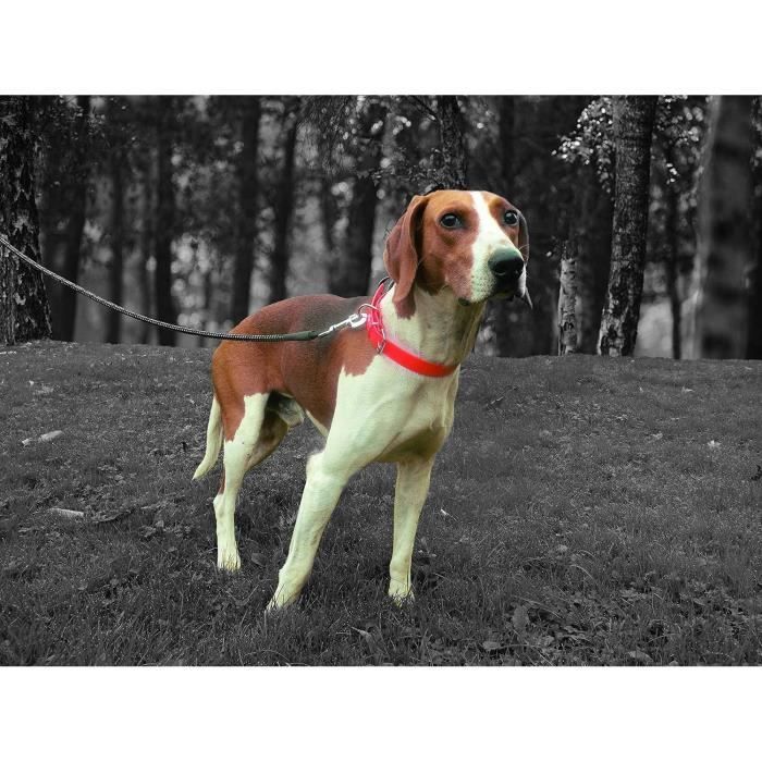 YAGO Hunting collar - Orange Fluo - Ultra Resistant for Dog